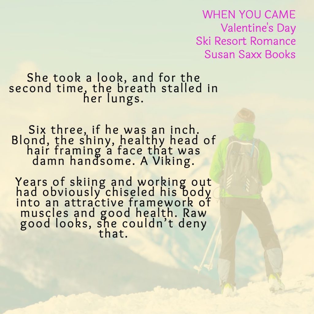 Teaser of Ski Patroller standing on a snowy mountain from When You Came by Susan Saxx